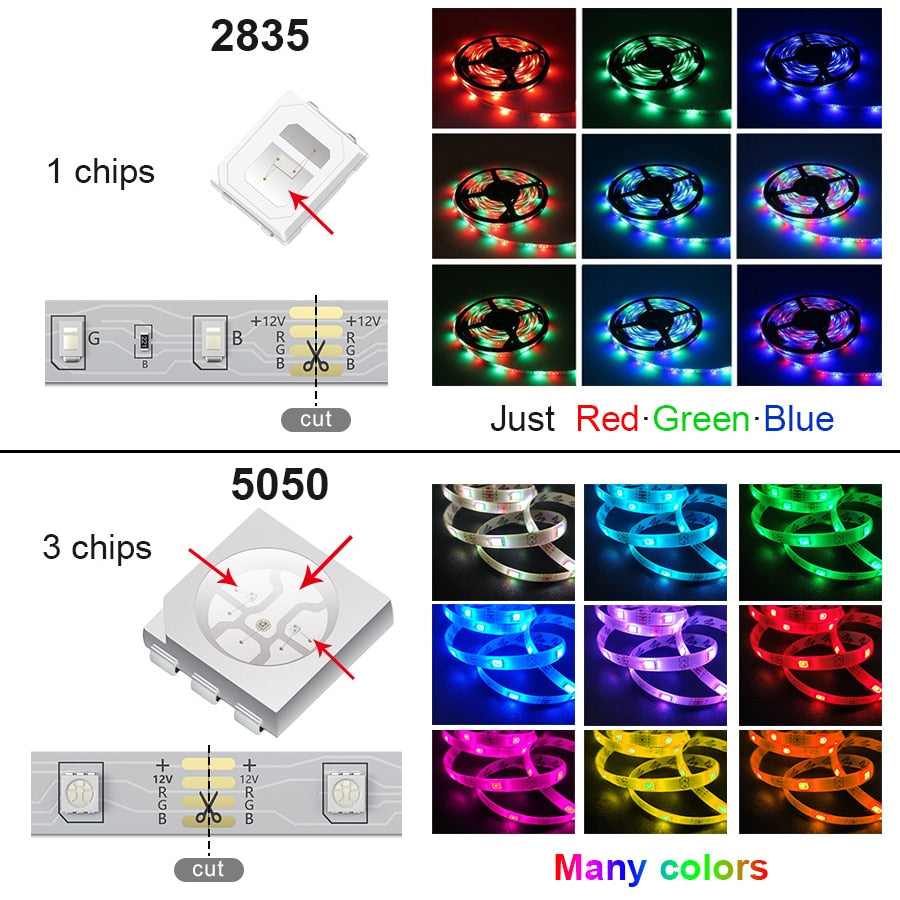 LED Light Strip 1M-30M with WiFi and Bluetooth